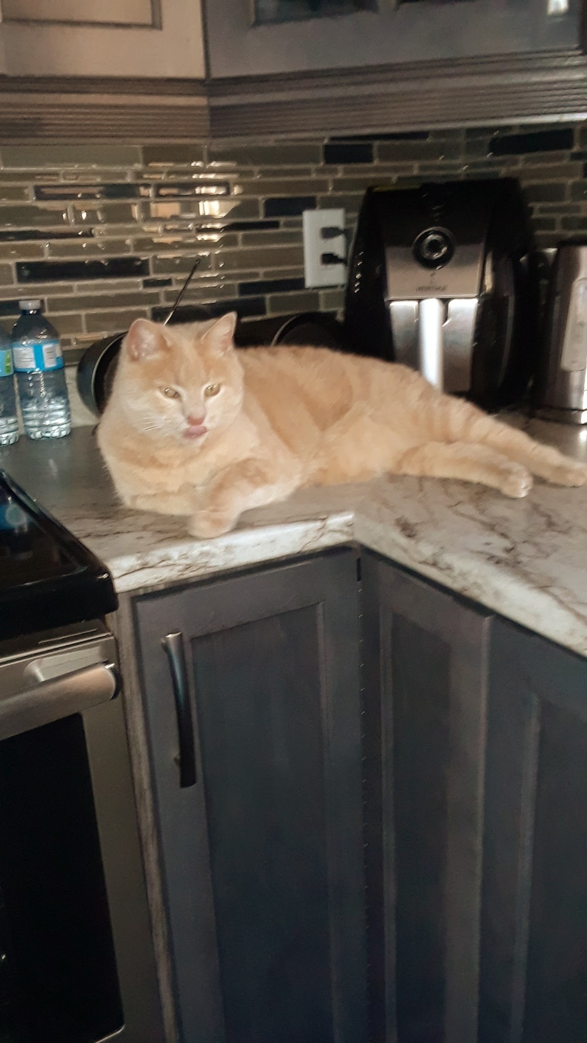 Oliver