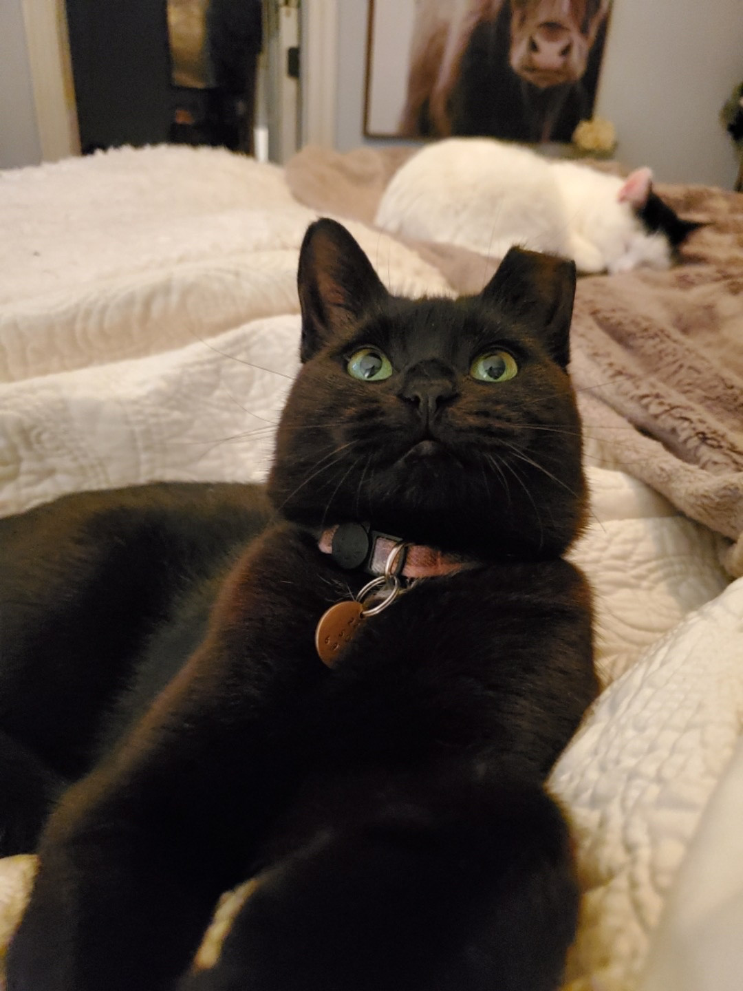 Cinder