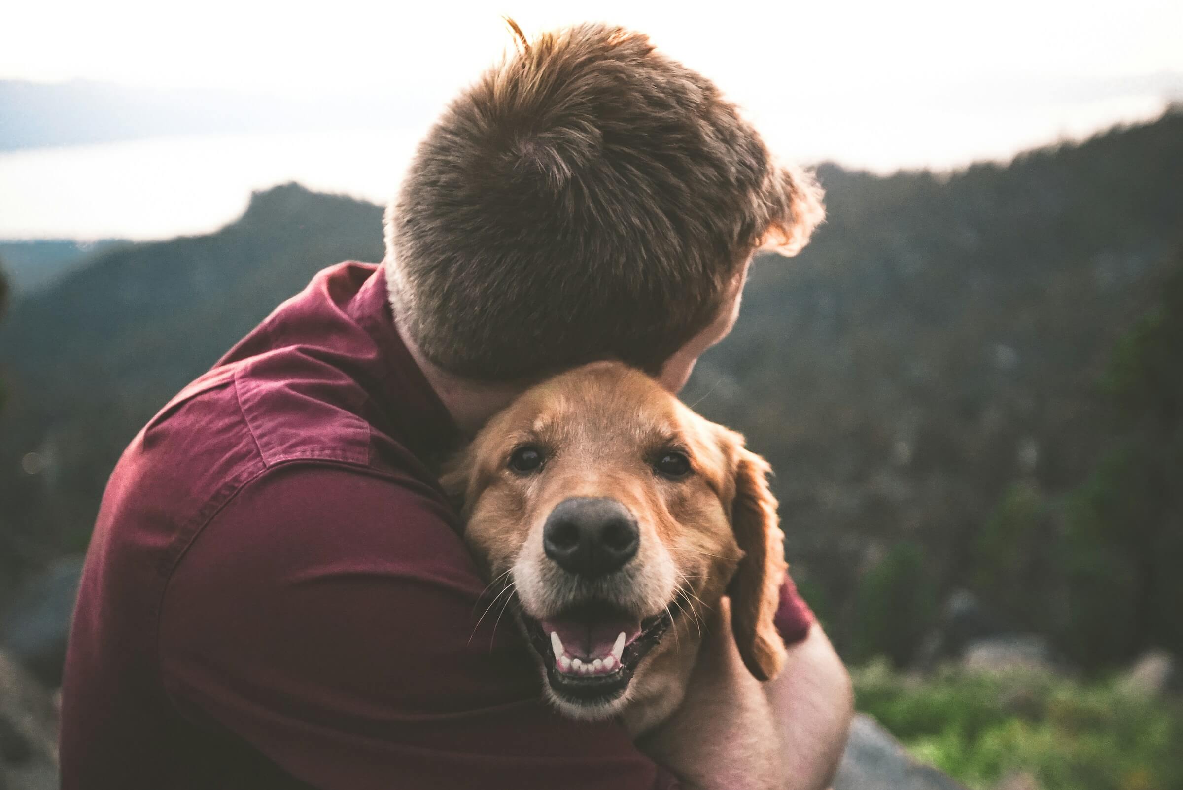 Questions to ask yourself before you adopt