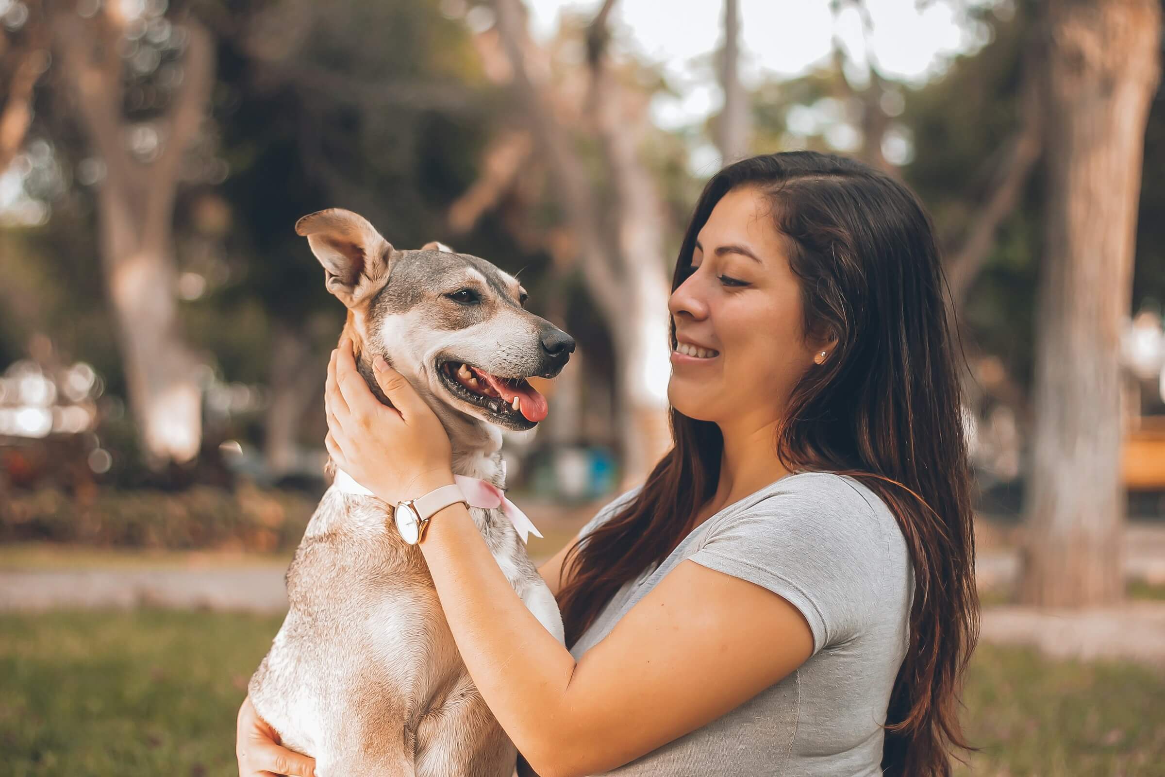 The first week home: helping a new pet settle in
