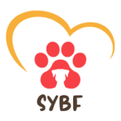 SYBF Logo